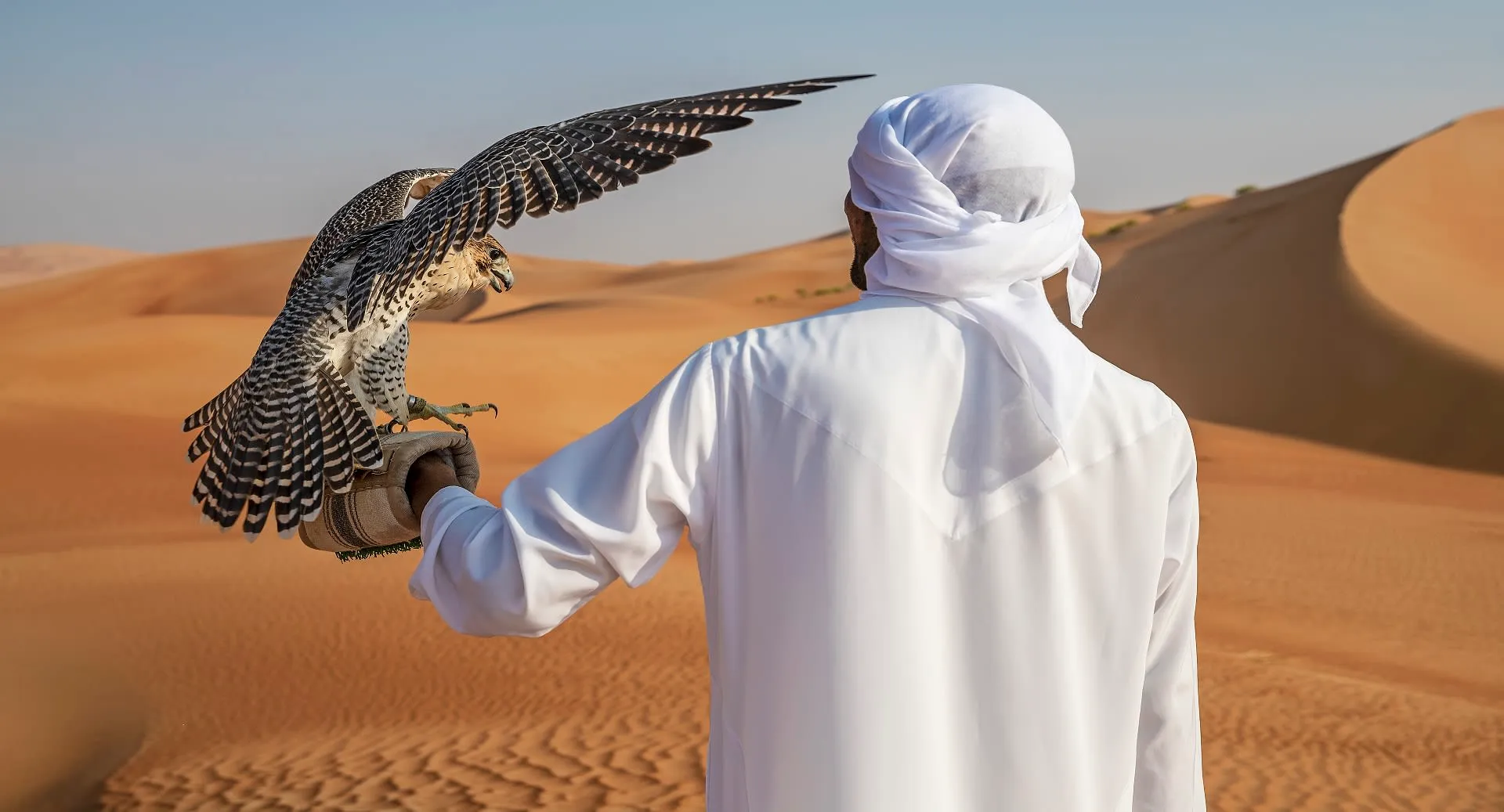 Falconer with falcon at Anantara Qasr Al Sarab Desert Resort, a signature guest experience, Abu Dhabi