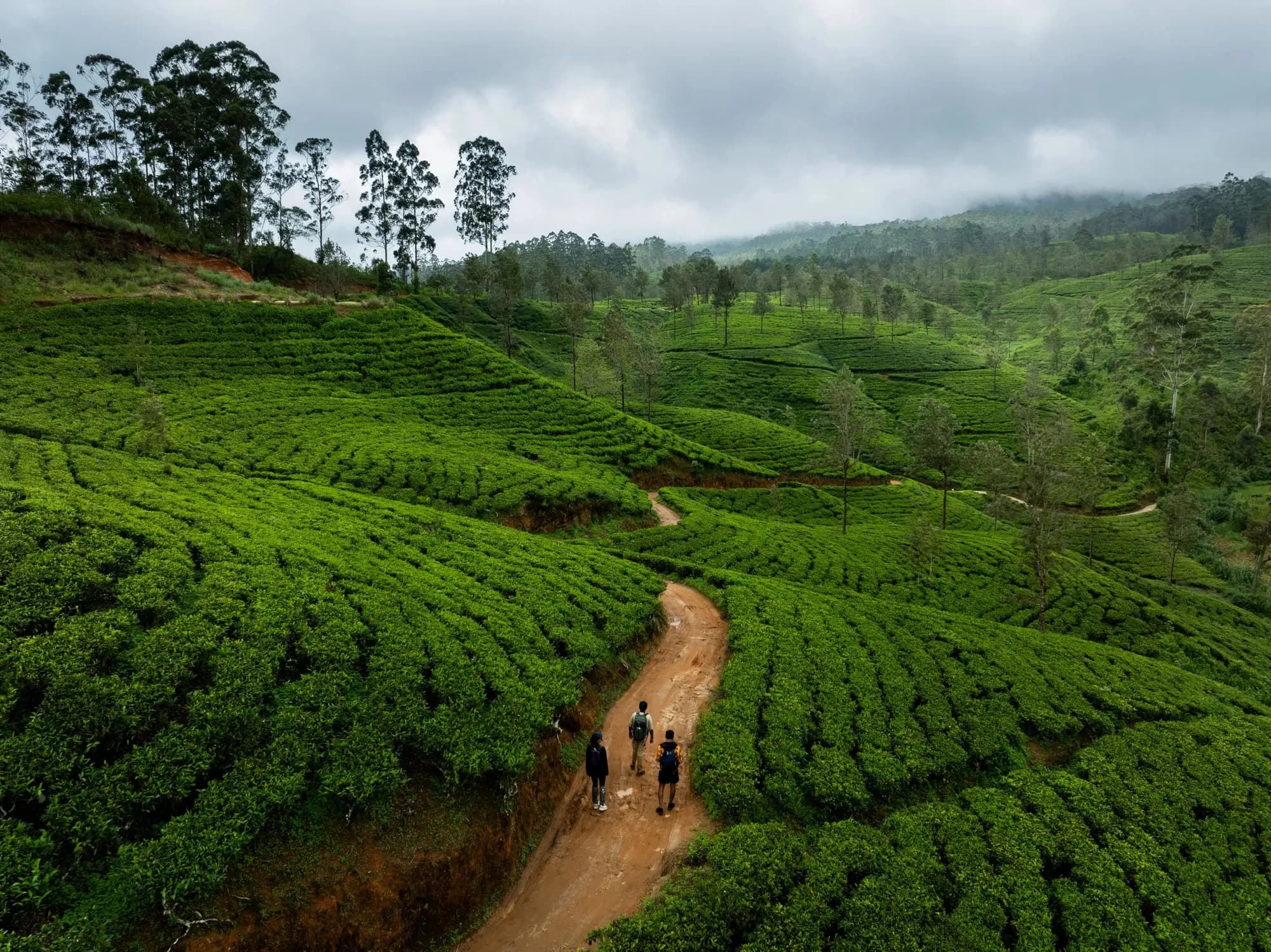 Sundowner setting among emerald tea fields at Ceylon Tea Trails Sri Lanka hill country