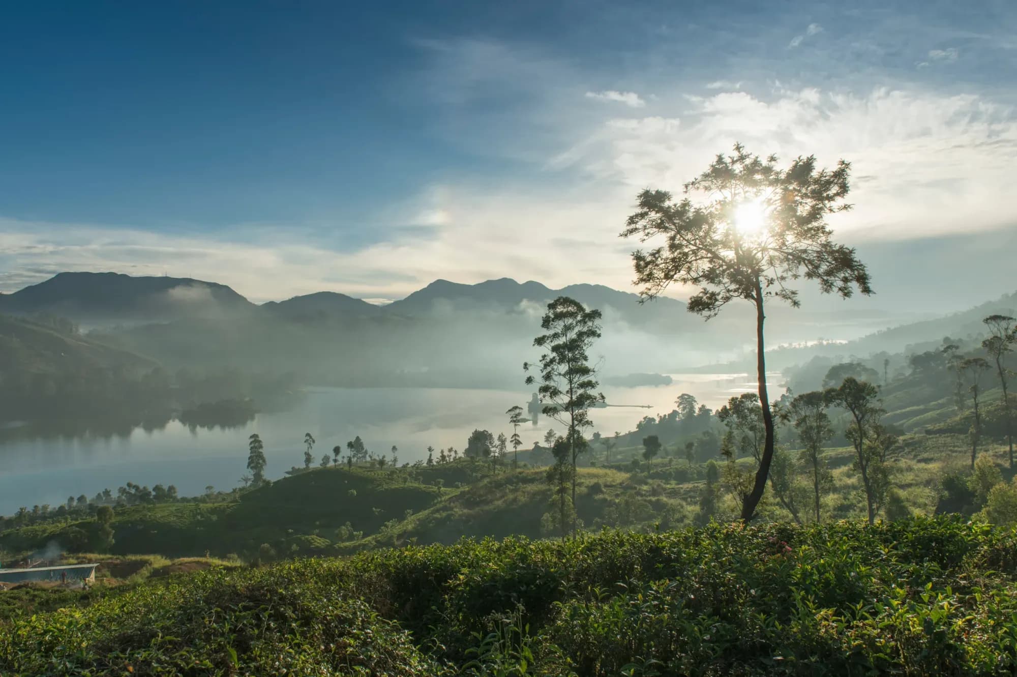 Misty tea-covered hills rising above Castlereagh Lake at Ceylon Tea Trails Sri Lanka