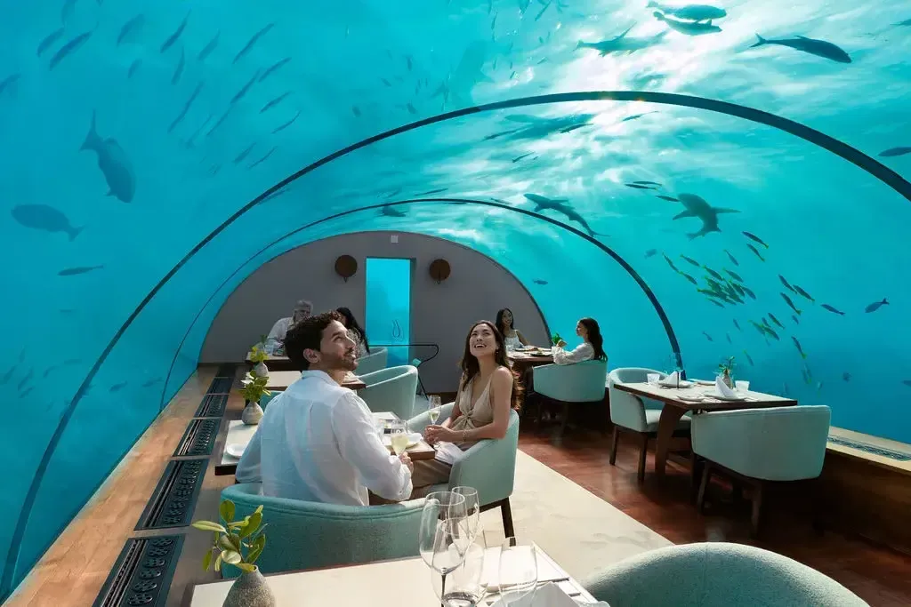 Couple seated beneath the lagoon surrounded by marine life at the Ithaa undersea restaurant