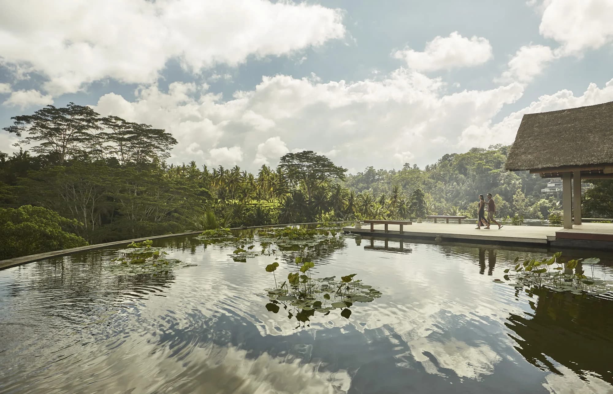 Aerial of the circular infinity-edge Rooftop Lotus Pond at Four Seasons Resort Bali at Sayan floating above the green Ayung River gorge and rainforest near Ubud Bali