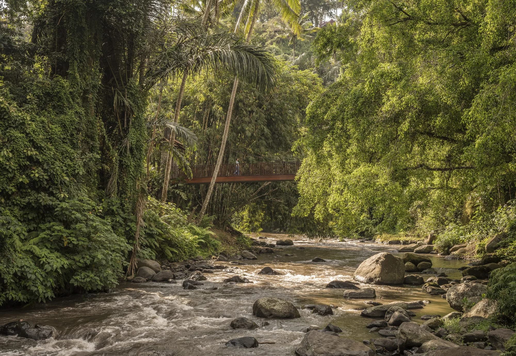 Riverside Pool Terrace under a canopy of tropical trees beside the Ayung River at Four Seasons Resort Bali at Sayan Ubud Bali