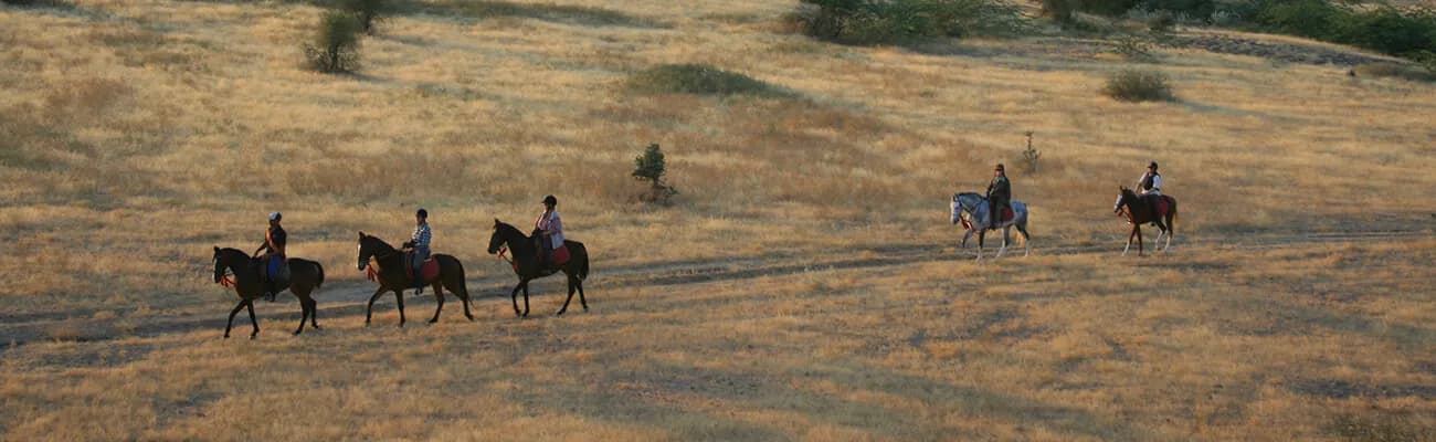 Marwari horse equestrian sundowner experience across the Thar Desert at Mihir Garh near Jodhpur