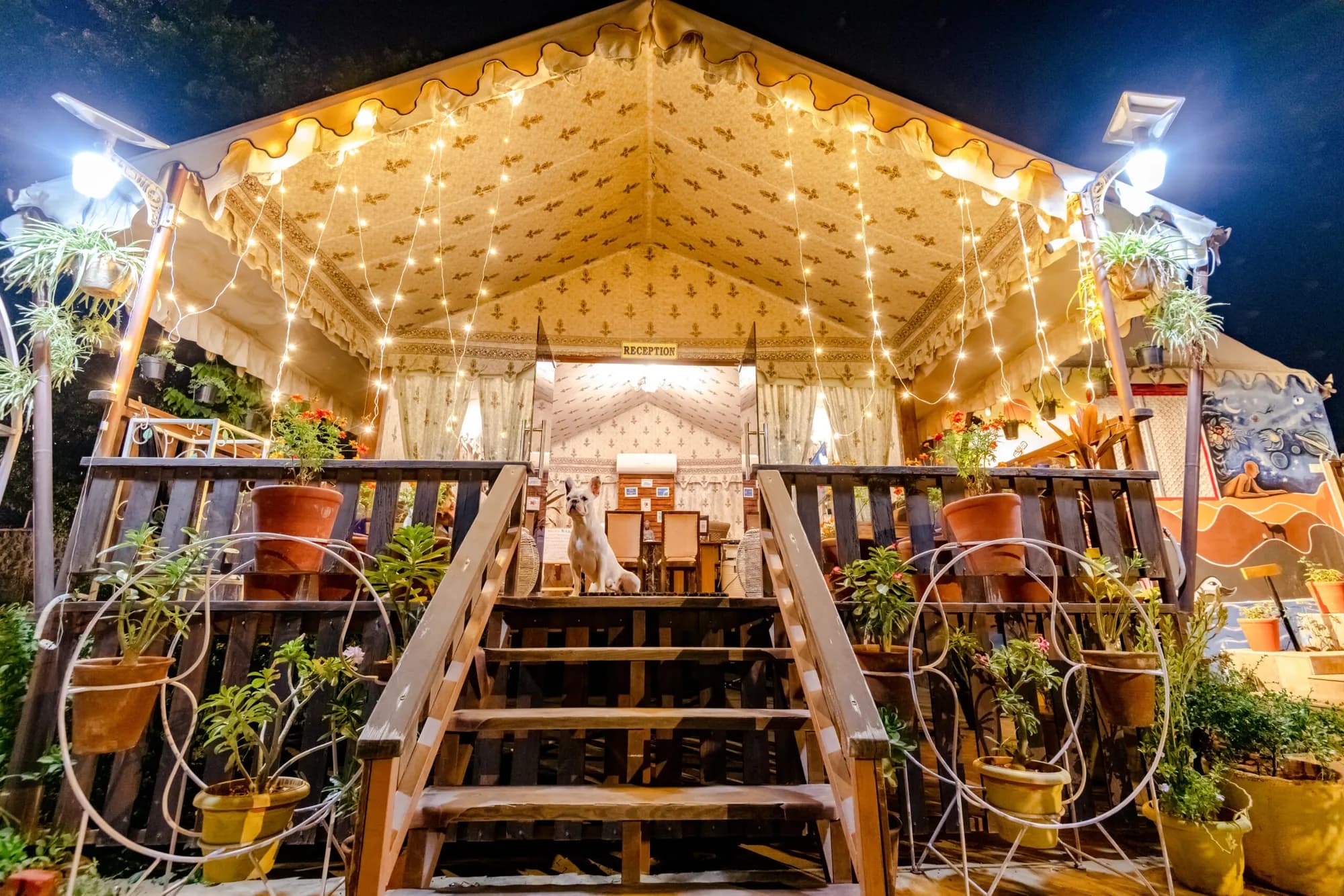 Rawai Luxury Tents Pushkar camp and the Aravalli hills at golden hour
