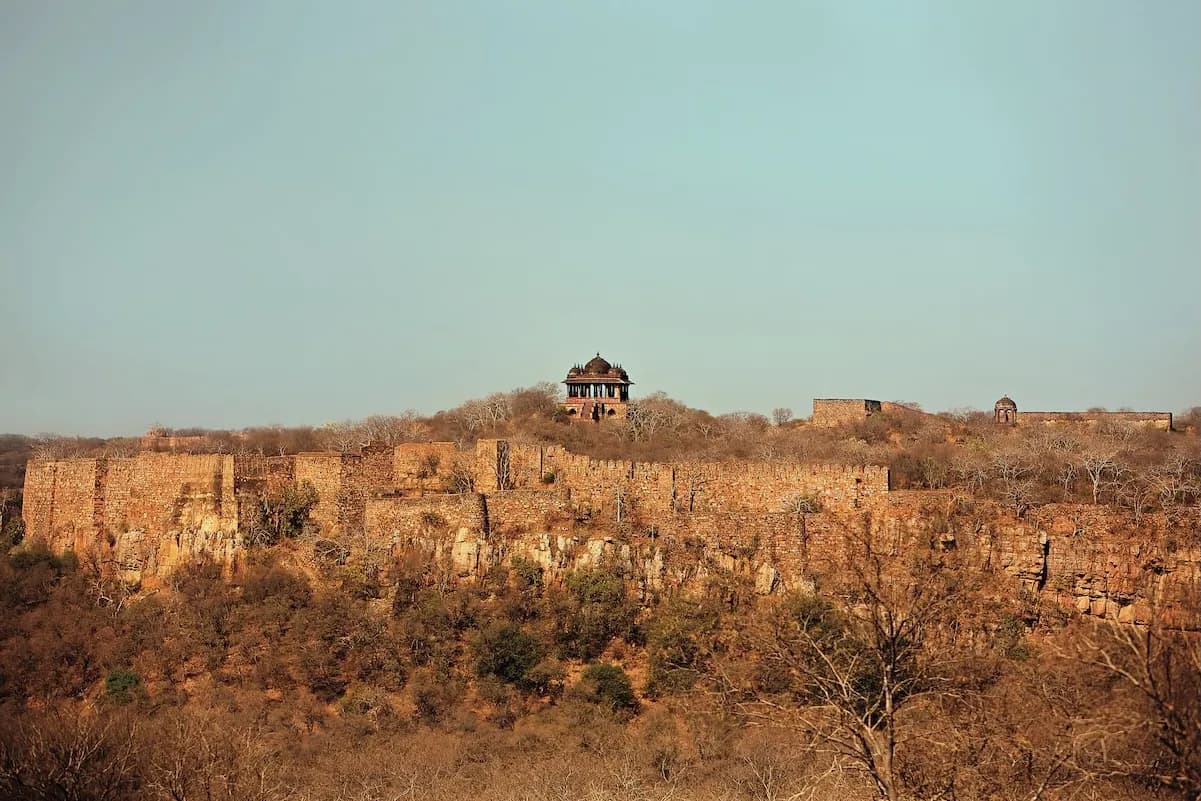Farm-to-table thaali and campfire dining presentation at SUJÁN Sher Bagh Ranthambore
