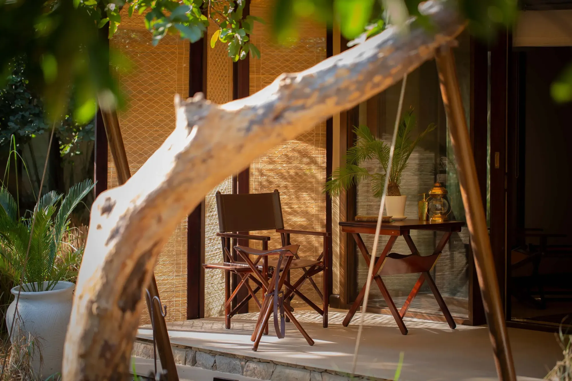 SUJÁN Sher Bagh luxury safari tents glowing with lantern light under the Ranthambore jungle canopy at dusk