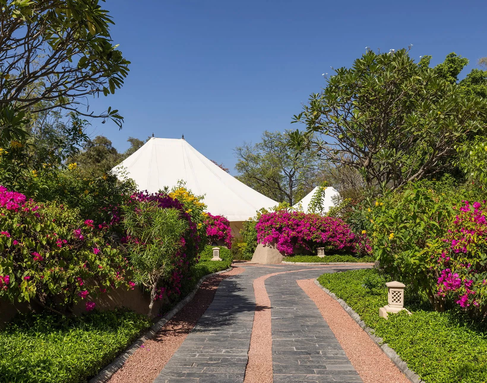 Tree-lined nature pathway through the forest grounds of The Oberoi Vanyavilas Ranthambore