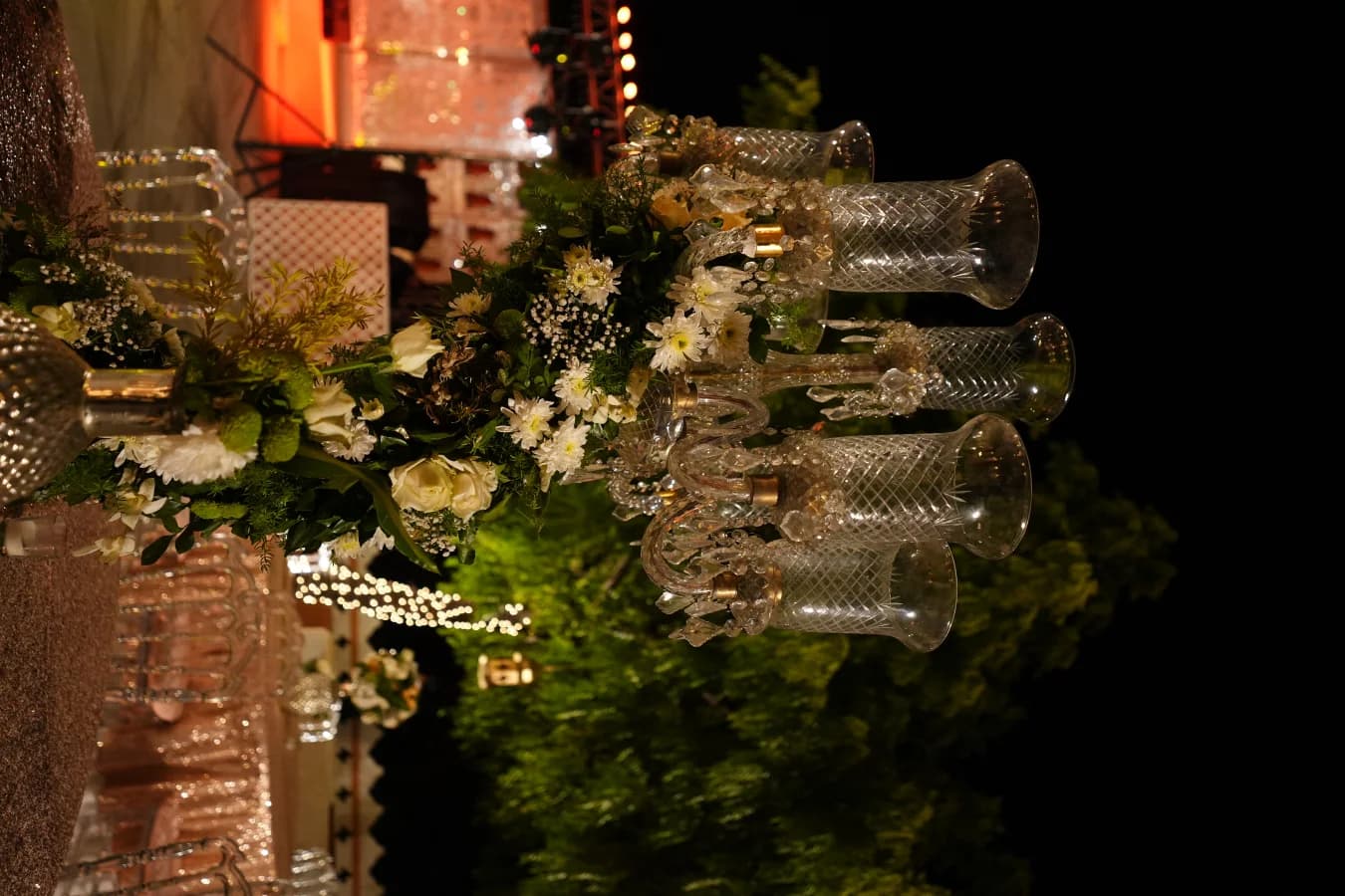 Anirudha & Shruti — Celebration