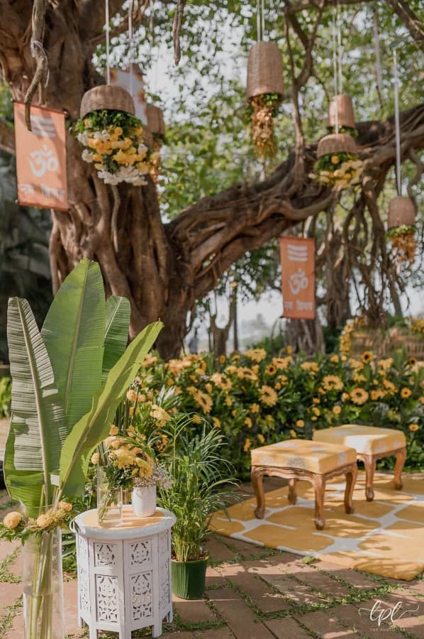 Dhruv & Stuti — Haldi