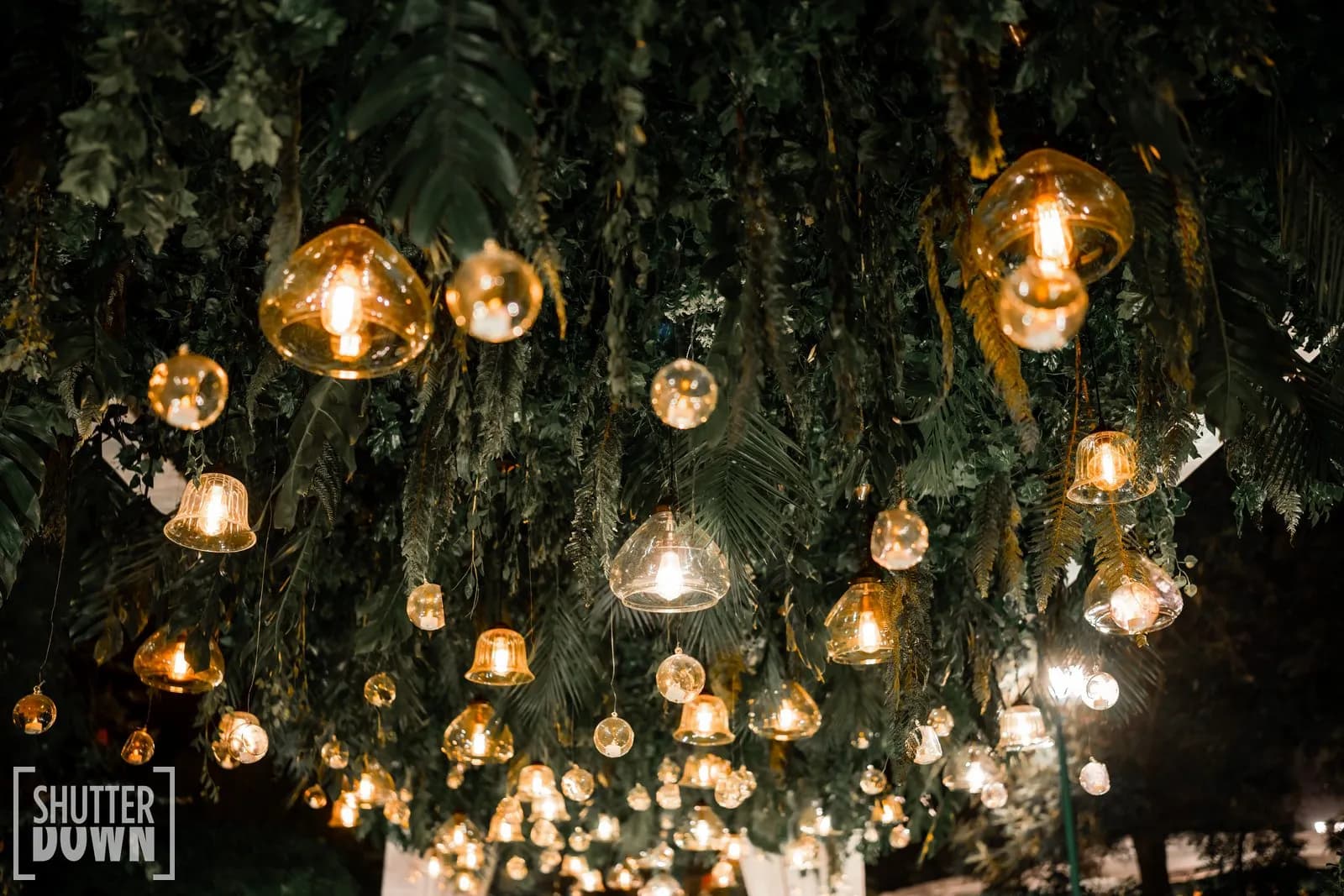 Prachi & Kanav — Celebration