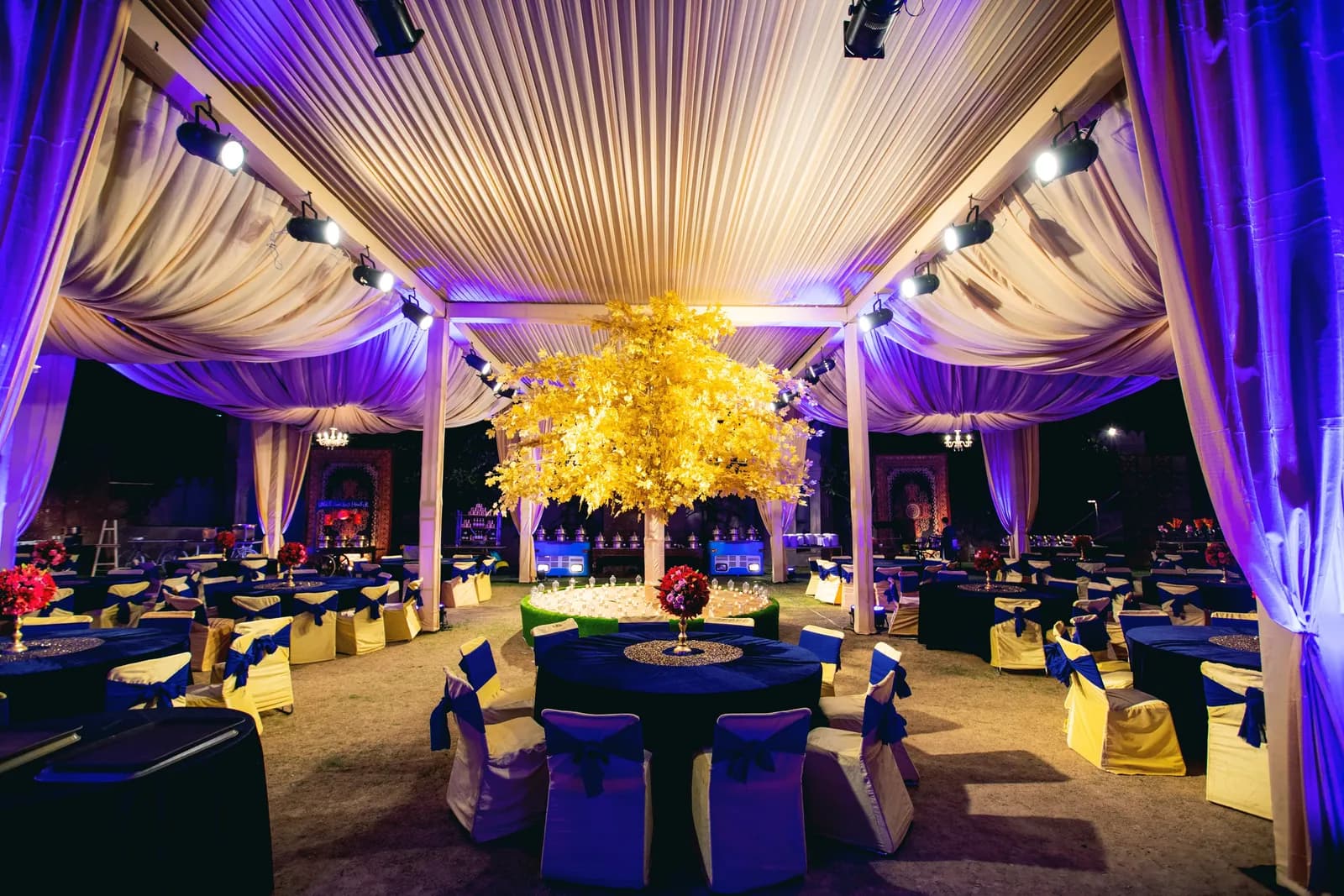 Prachi & Kanav — Sangeet Highlights