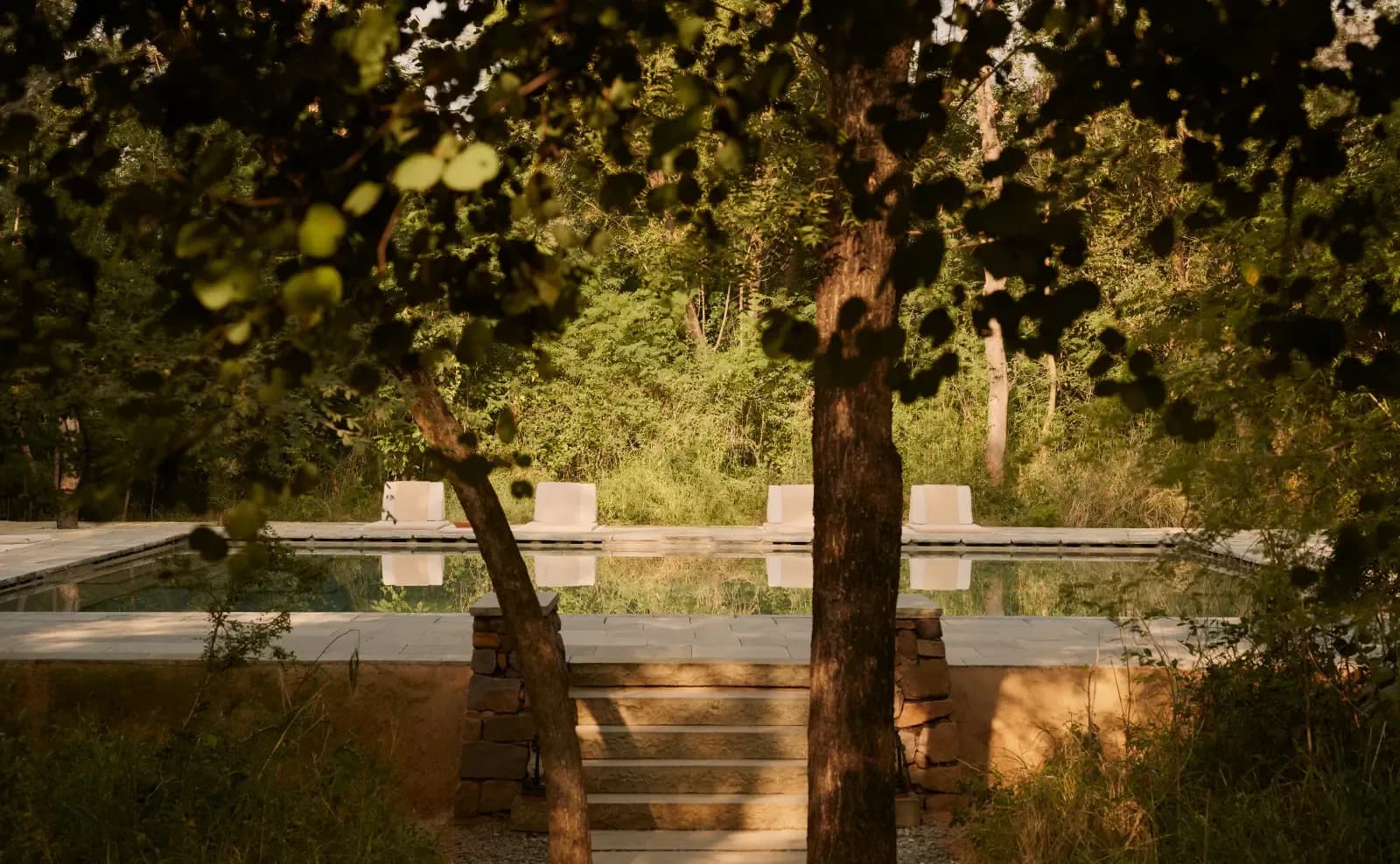 Square stepwell-inspired central reflection pool framed by trees at Aman-i-Khas Ranthambore