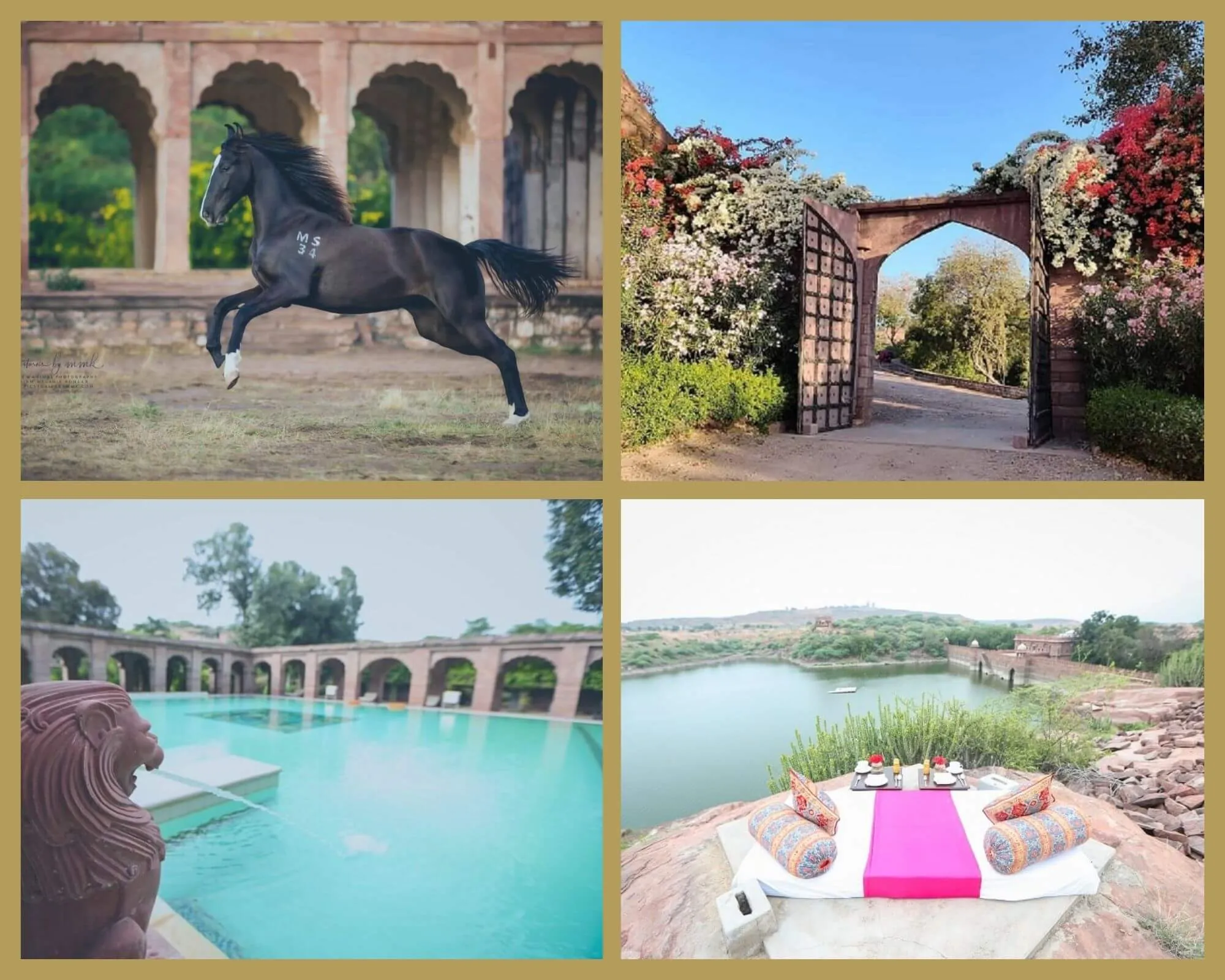 Arrival approach to WelcomHeritage Bal Samand Lake Palace through the orchard and garden estate, Jodhpur