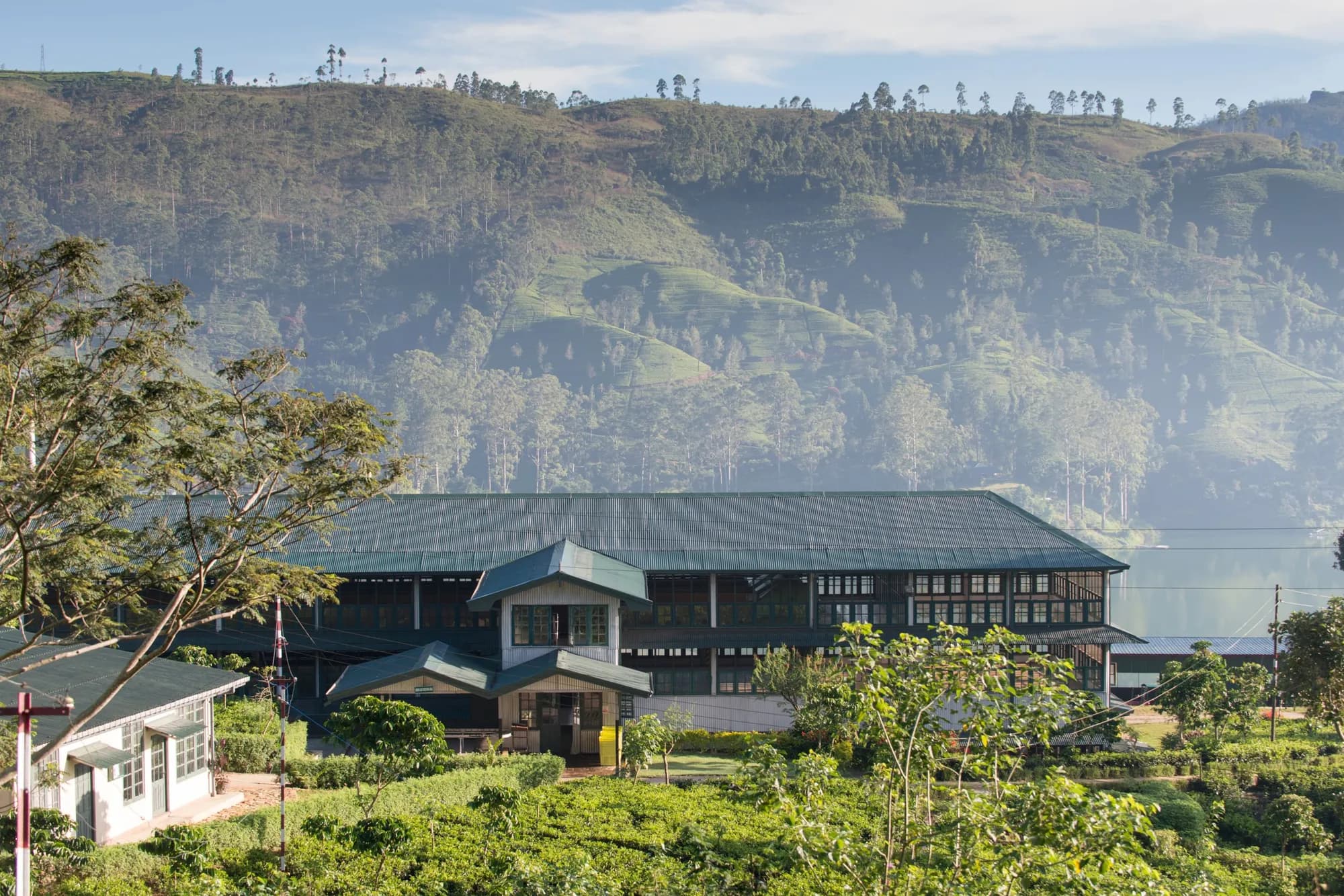 Restored colonial planters' bungalow exterior surrounded by tea fields at Ceylon Tea Trails Sri Lanka