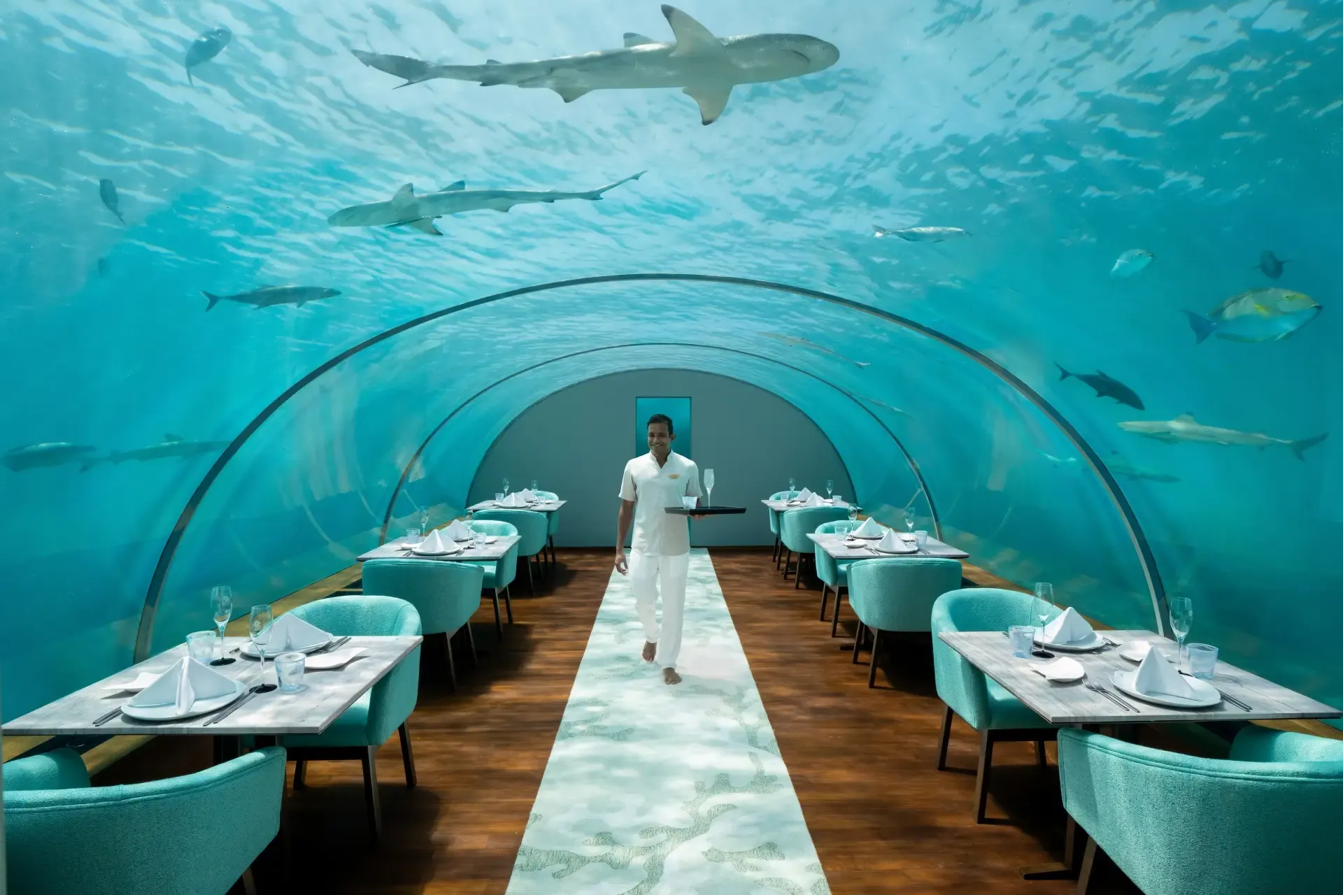 Ithaa undersea glass restaurant five metres below sea level at Conrad Maldives Rangali Island