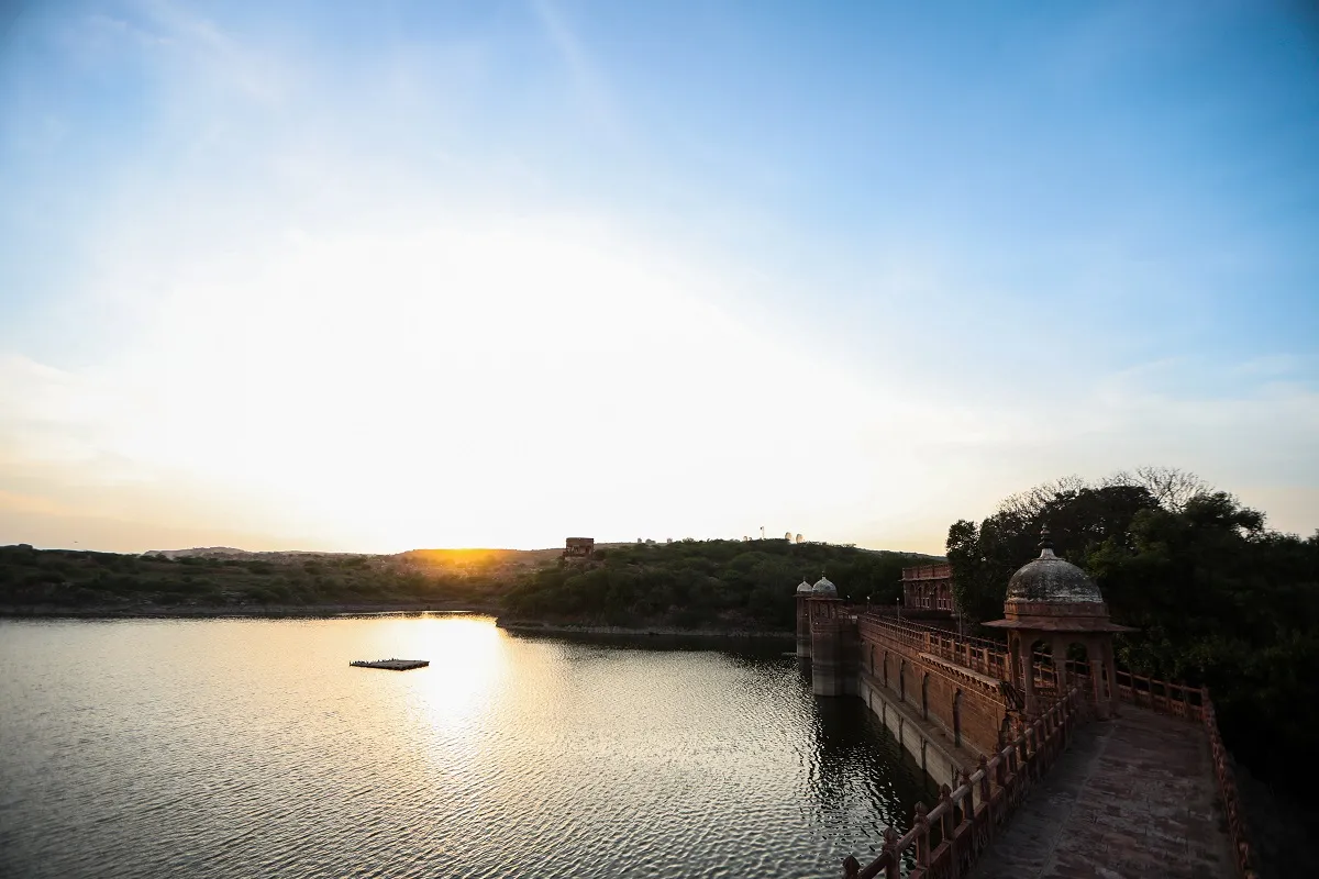 Rajasthani fine-dining and heritage hospitality presentation at Bal Samand Lake Palace Jodhpur