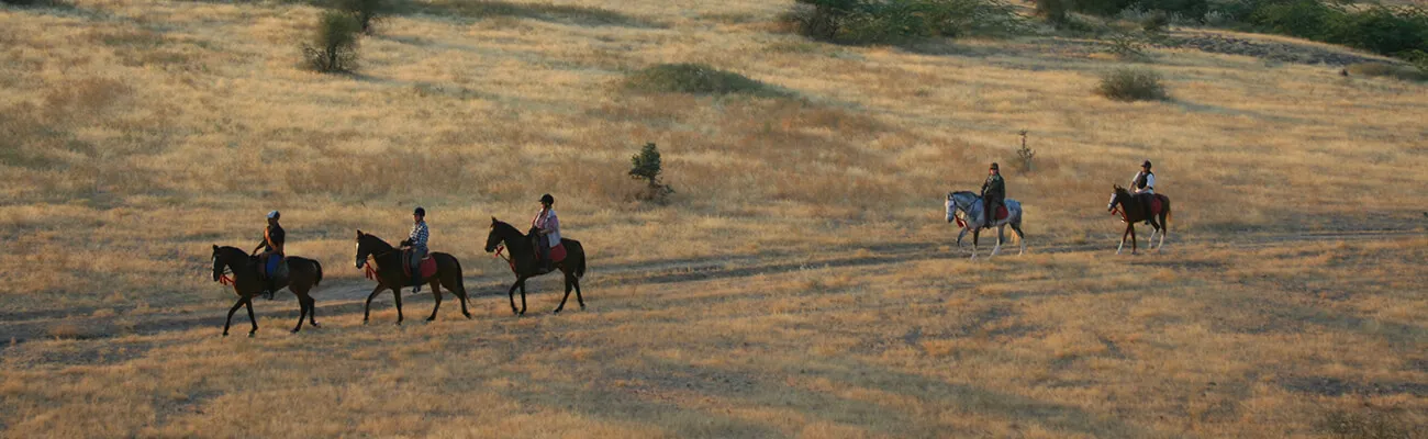Marwari horse equestrian sundowner experience across the Thar Desert at Mihir Garh near Jodhpur