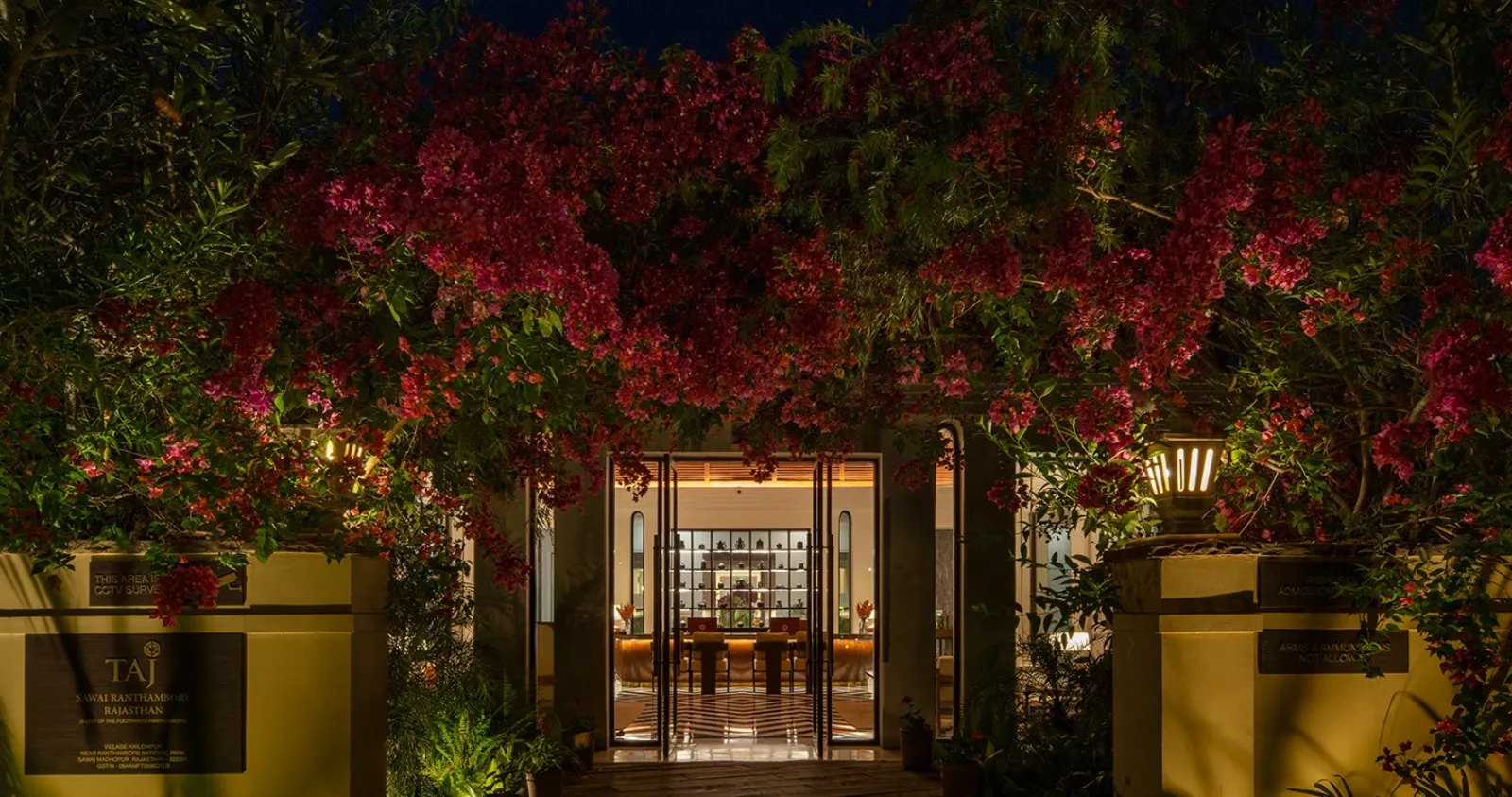Taj Sawai Ranthambore resort and the national-park treeline at golden hour