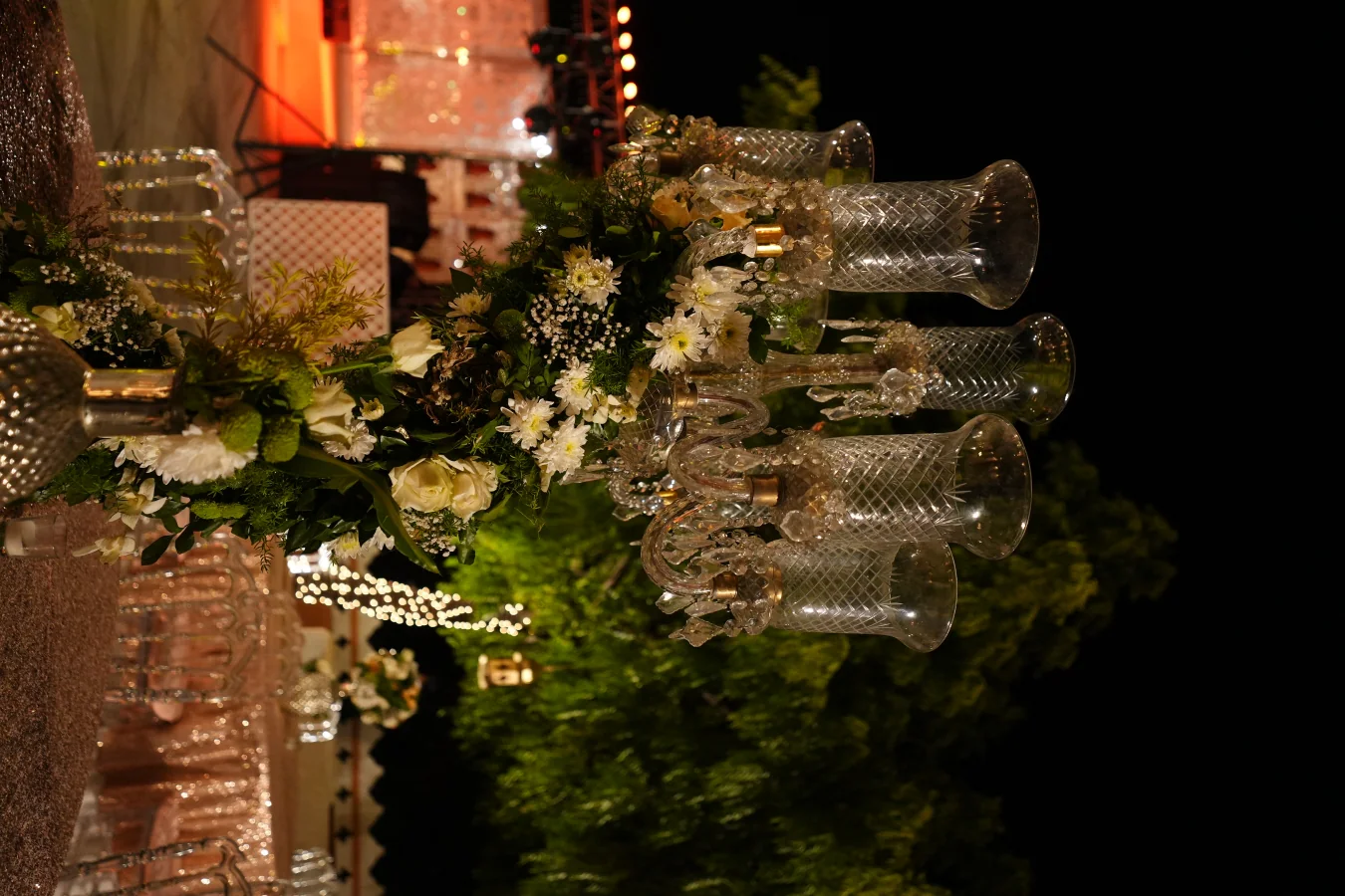 Anirudha & Shruti — Celebration