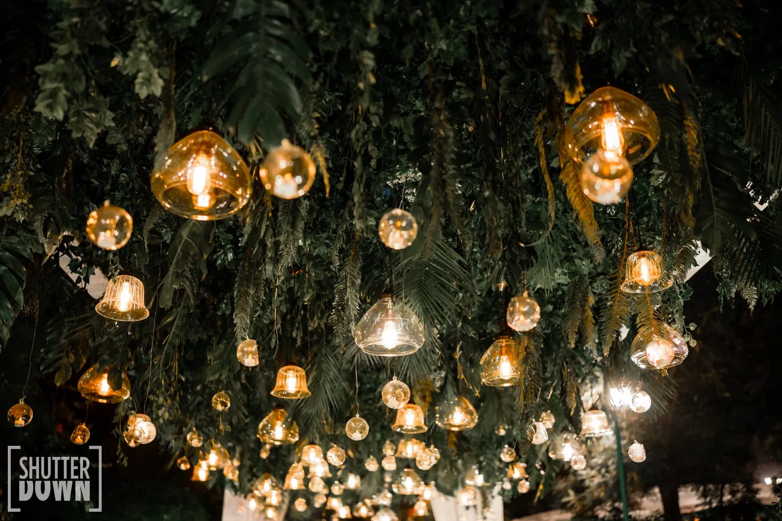 Prachi & Kanav — Celebration